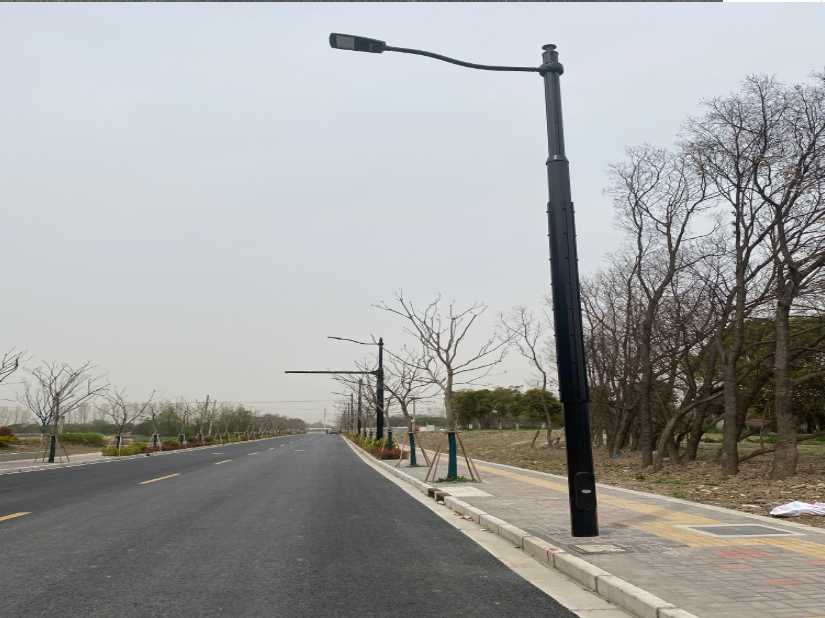 荔湾区上海综合杆 太阳能路灯工程